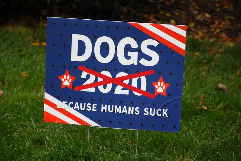 &ldquo;Dogs 2020 Because Humans Suck&rdquo; by Amaury Laporte is licensed under CC BY-NC 2.0.